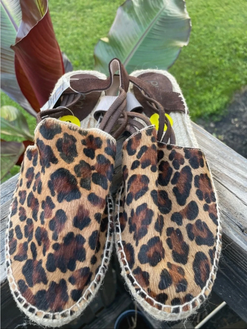N/A bold leopard